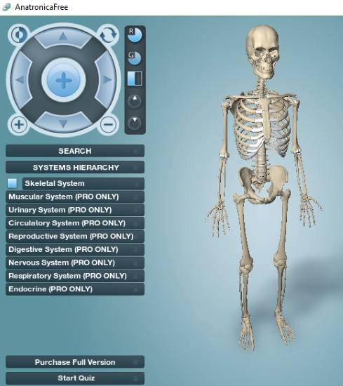 human anatomy software